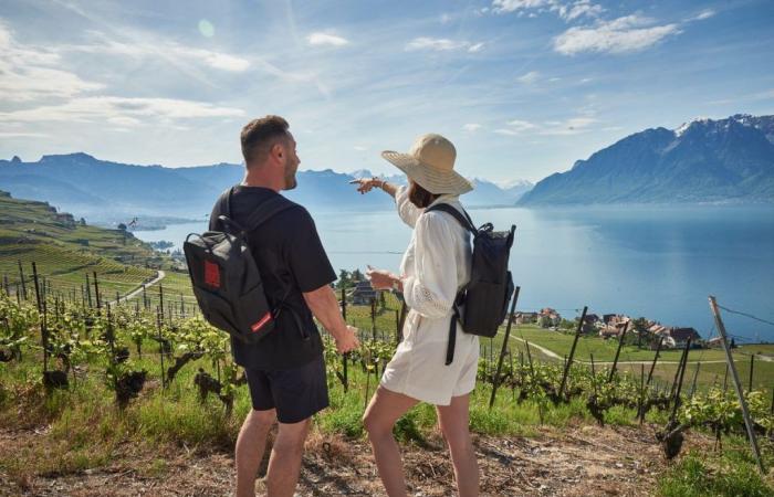 Vino suizo: Swiss Wine lanza las variedades de maniobra para el verano
