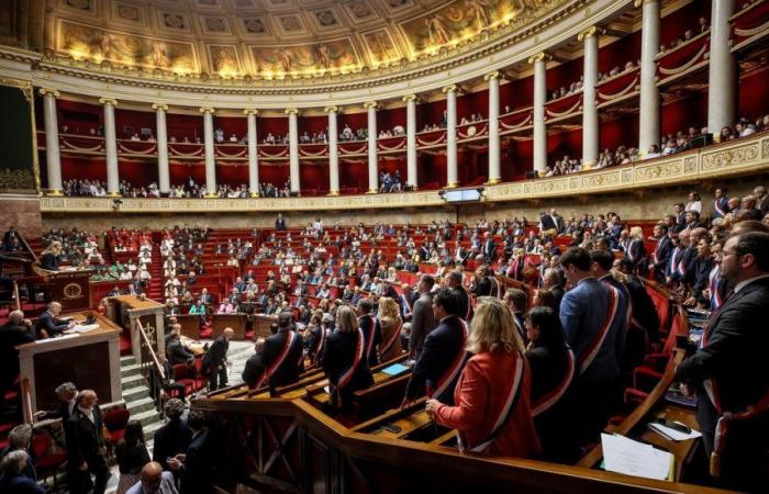 Elecciones legislativas 2024: descubra todos los candidatos en los distritos electorales de Ardèche