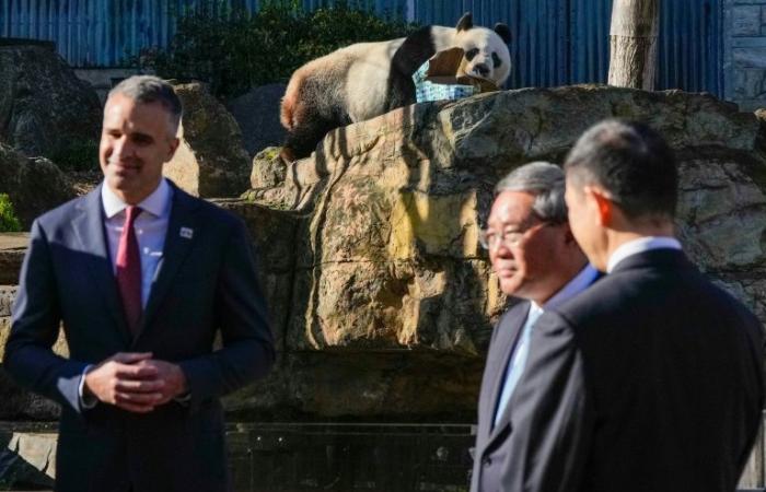 Ceremonia “simbólica” del primer ministro chino en el Parlamento australiano, ante temas delicados