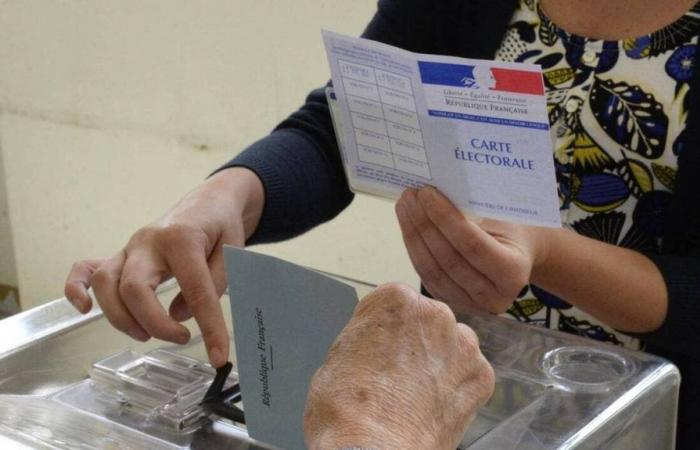 Elecciones legislativas 2024. Siete nuevos candidatos en las cinco circunscripciones de Côtes-d’Armor