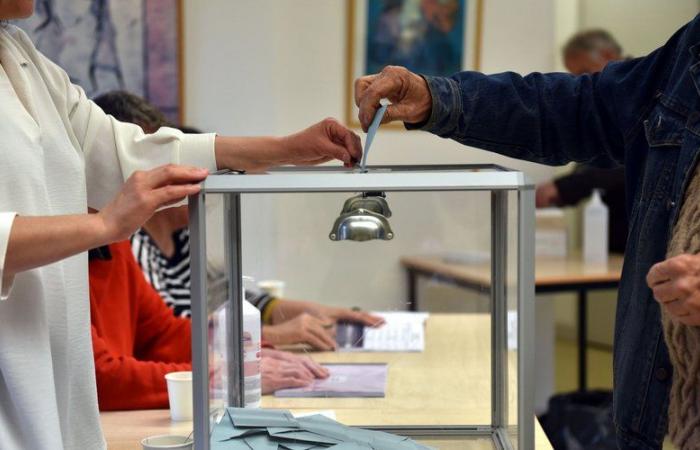 Elecciones legislativas de 2024 en Ariège: candidatos, convocatorias de votación, segunda vuelta… 4 preguntas para saber todo sobre las elecciones de Ariège