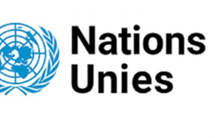 La Oficina de las Naciones Unidas para África Central (UNOCA) está contratando para estos 2 puestos (16 de junio de 2024)