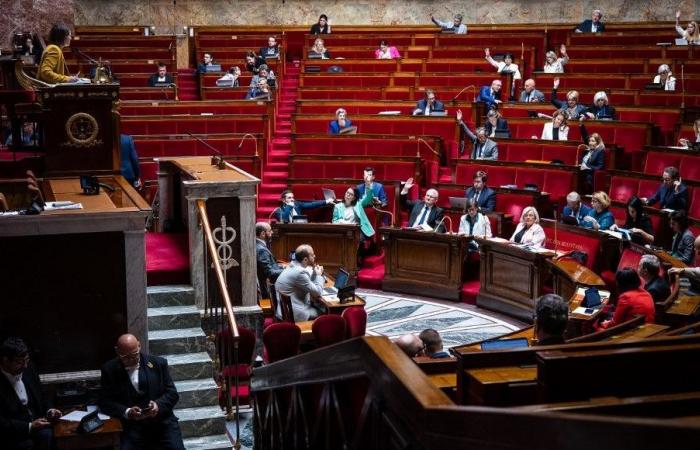 Elecciones legislativas 2024: descubra todos los candidatos en las circunscripciones de Saona y Loira