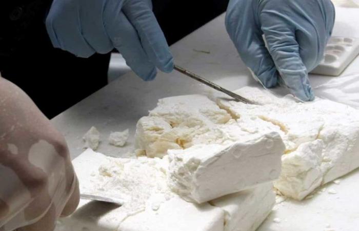 Más de 100 kg de cocaína incautados en el sur del país (Aduana)