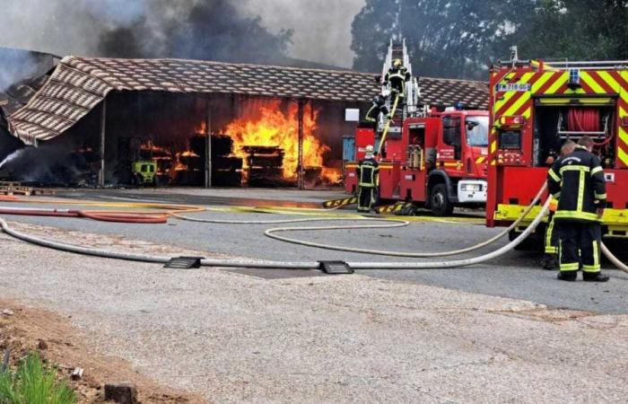 Casteljaloux. Incendio en un almacén de una fábrica de transporte: se descarta teoría criminal