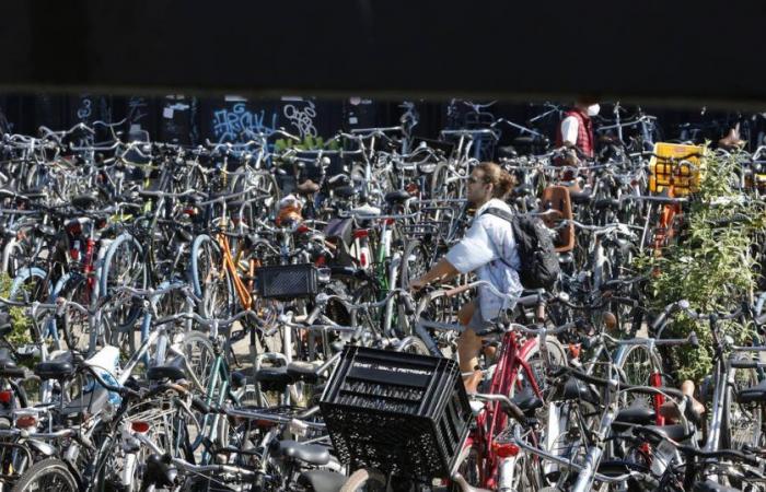 Se insta a los ciclistas holandeses a usar casco a medida que aumentan las muertes en bicicleta – Libération