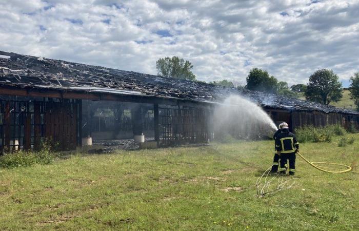 Incendio: veinte bomberos intervienen en un incendio en un edificio agrícola de 2.500 m2 completamente destruido por las llamas en Laguiole