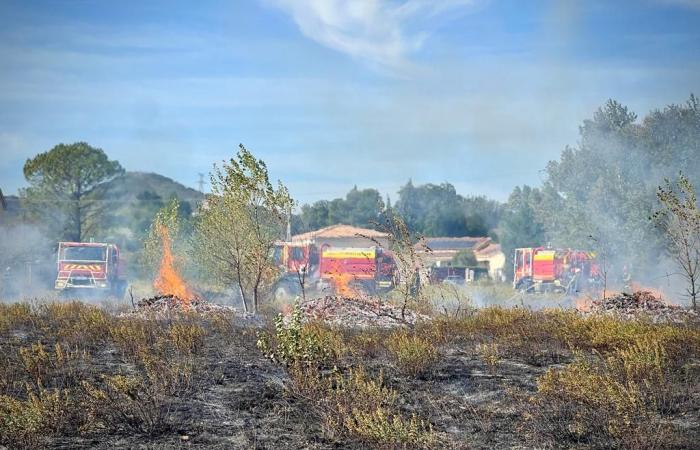 Gard: prevención de incendios forestales y de vegetación