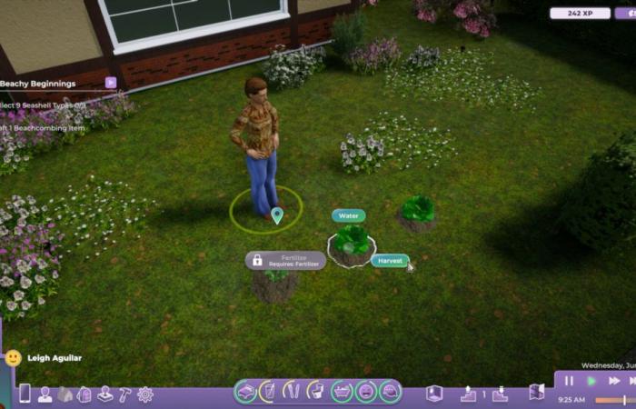 JVMag – Life by You, the Sims-Like se cancela poco antes de su lanzamiento.