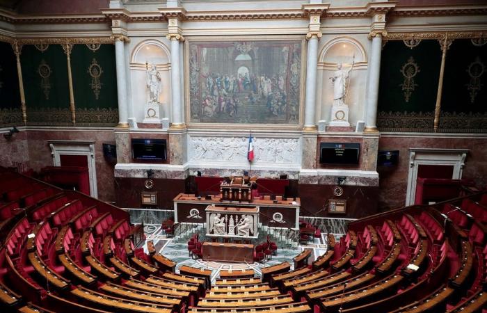 Elecciones legislativas 2024. ¿Quiénes son los candidatos en Cantal?