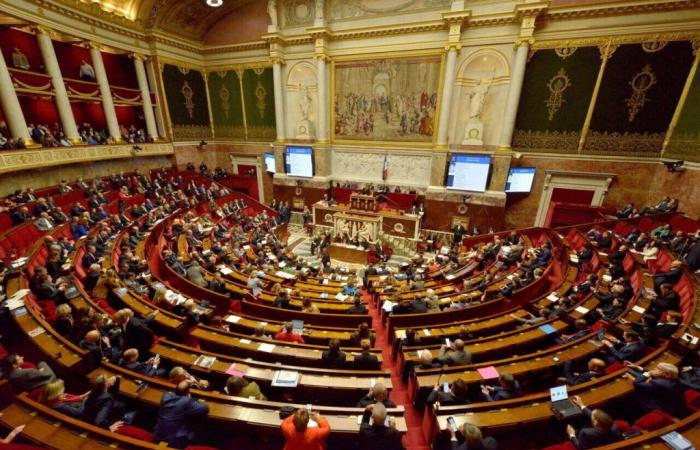 Elecciones legislativas 2024: aquí están todos los candidatos a las circunscripciones del sur de Seine-et-Marne