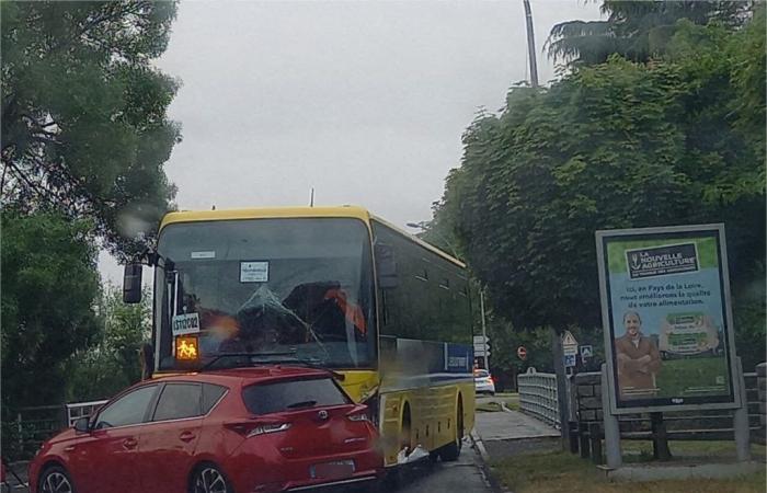 Accidente en Loira Atlántico: un autobús escolar atropella a tres coches