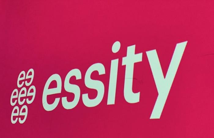 La sueca Essity eleva su objetivo de margen tras la venta de Vinda
