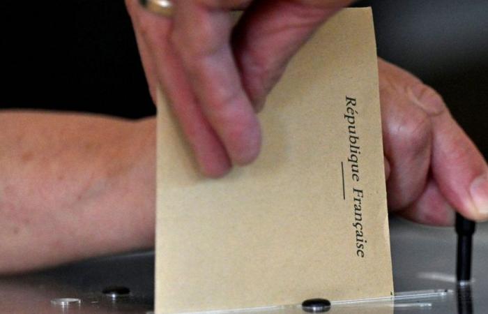 Elecciones legislativas 2024: descubra todos los candidatos en los cinco distritos electorales de Indre-et-Loire