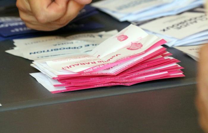 Elecciones legislativas de 2024 en Tarn-et-Garonne: doce candidatos validados en las dos circunscripciones del departamento