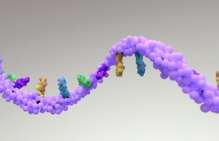 ARN mensajero: segunda ola de crecimiento