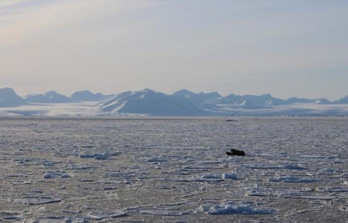 Glaciólogo de Svalbard a la vanguardia del cambio climático