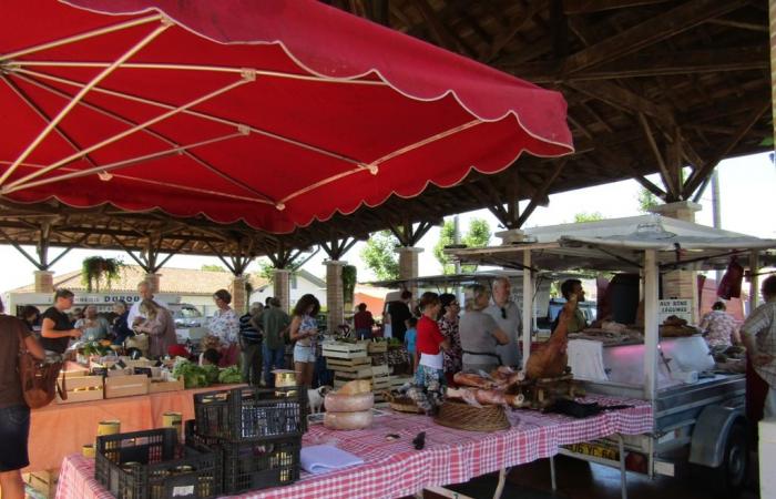 Mercado tradicional Bajo el mercado de Montfort-en-Chalosse Miércoles 19 de junio de 2024