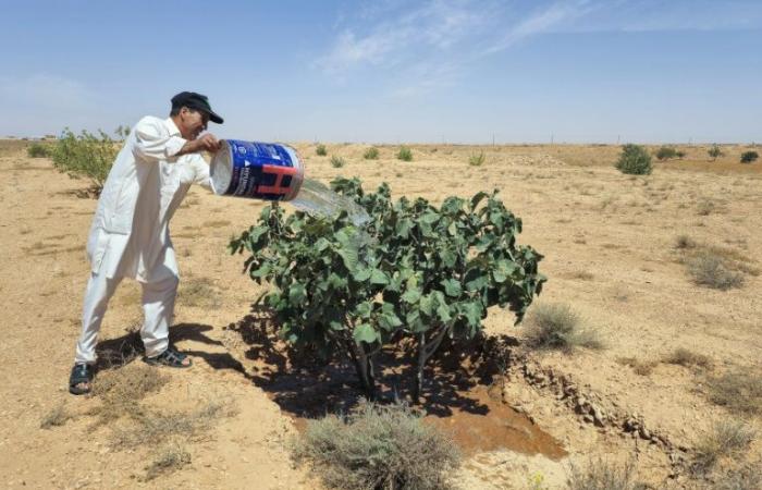 Libia: una vez fértil, una zona montañosa presa del cambio climático