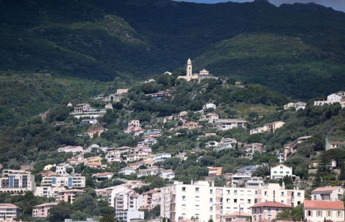 LEGISLATIVO. 1.ª circunscripción de Alta Córcega: la mayor población de la isla y sus disparidades