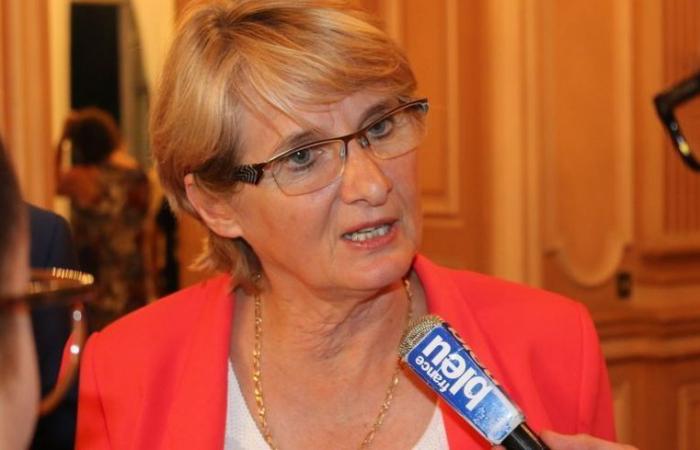 Elecciones legislativas: 5 candidatos se enfrentan a Marie-Noëlle Battistel en la cuarta circunscripción de Isère