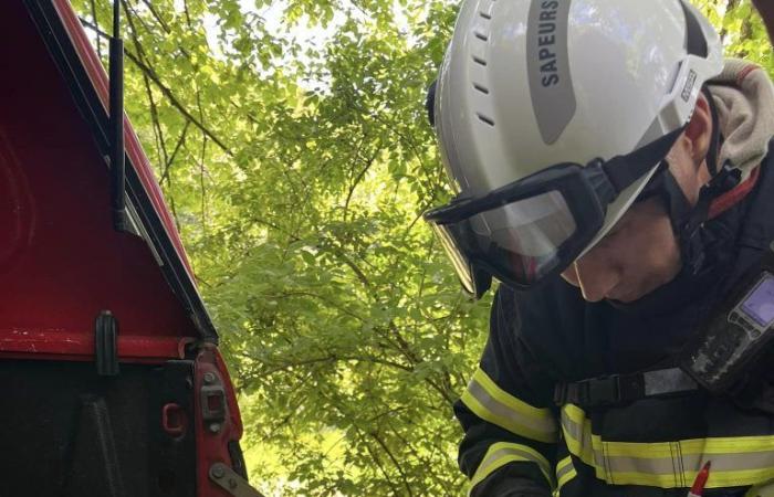 Juró. Los bomberos del departamento organizaron un curso de formación sobre incendios forestales | Semanal 39