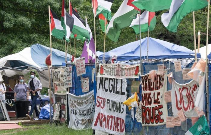 McGill suspende conversaciones con campamento pro palestino y considera sanciones | Medio Oriente, el eterno conflicto