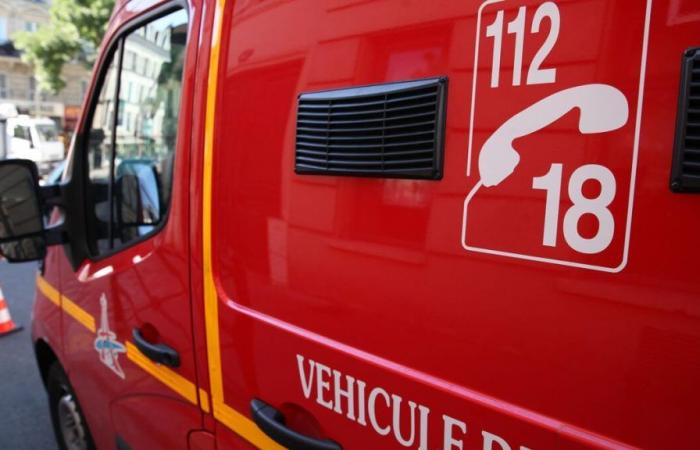 Eure-et-Loir: siete muertos en un accidente de tráfico cerca de Chartres, entre ellos cinco jóvenes de 17 a 19 años