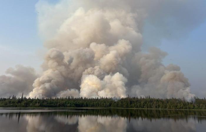 Incendios forestales: los empresarios forestales exigen un mejor apoyo | Incendios forestales en Canadá