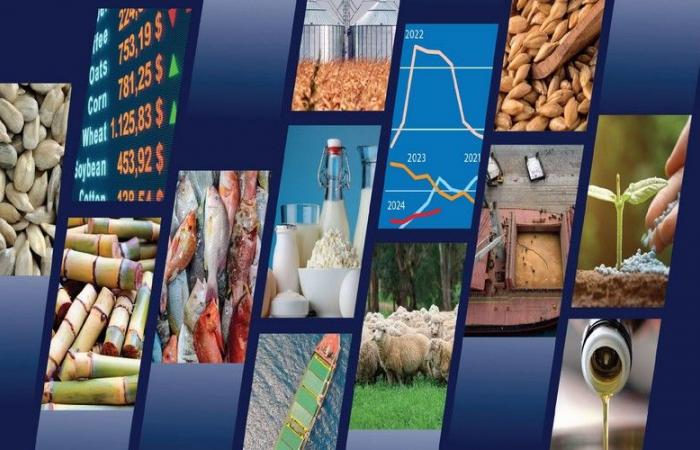 Hacia una estabilización de la mayoría de los mercados de productos alimentarios en 2024-2025 – VivAfrik