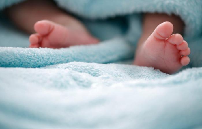 Aumento de la tos ferina: muerte de dos bebés, se recomienda vacunar a las mujeres embarazadas
