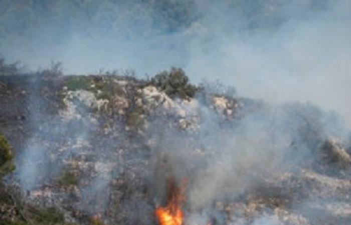Prevención de incendios forestales y de vegetación