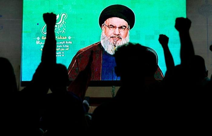 “No queremos una guerra total, porque nuestra lucha es un frente de apoyo” (Nasrallah)