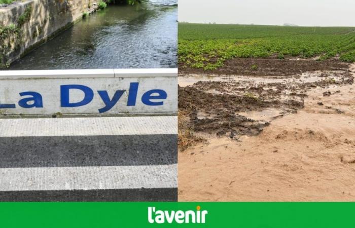Mal tiempo en Valonia: el Dyle en alerta de inundaciones, inundaciones en el Brabante Valón y Hainaut, deslizamientos de tierra en Lieja