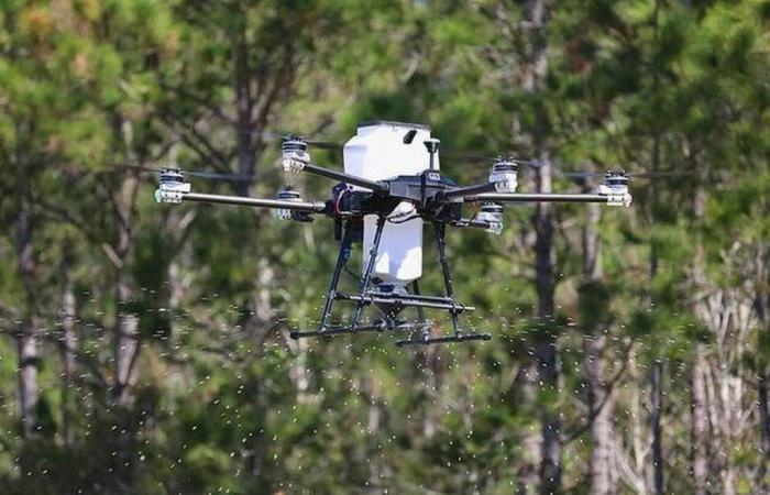 Estos drones utilizados en Francia eliminan radicalmente los mosquitos: así es como se hace – Edición nocturna del Oeste de Francia