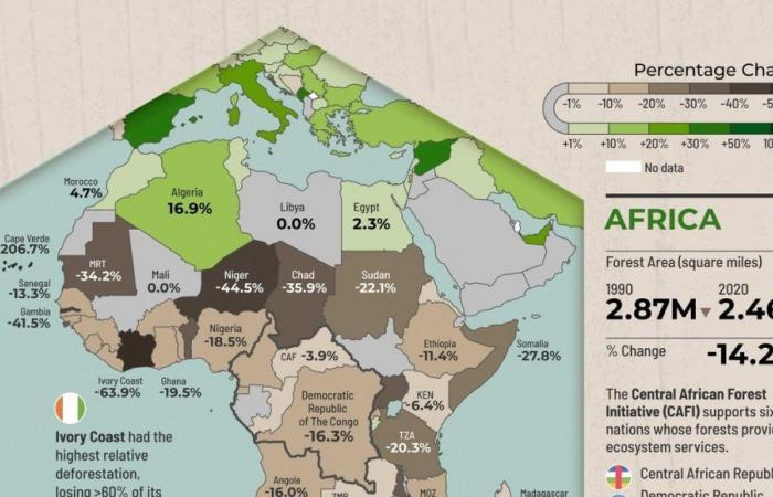 África emite actualmente más gases de efecto invernadero de los que absorbe