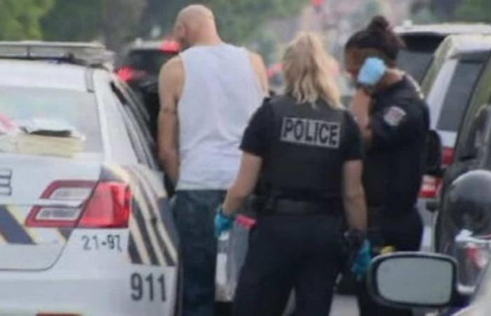 Violencia y tráfico de drogas: cuatro detenciones en Longueuil durante una importante operación policial