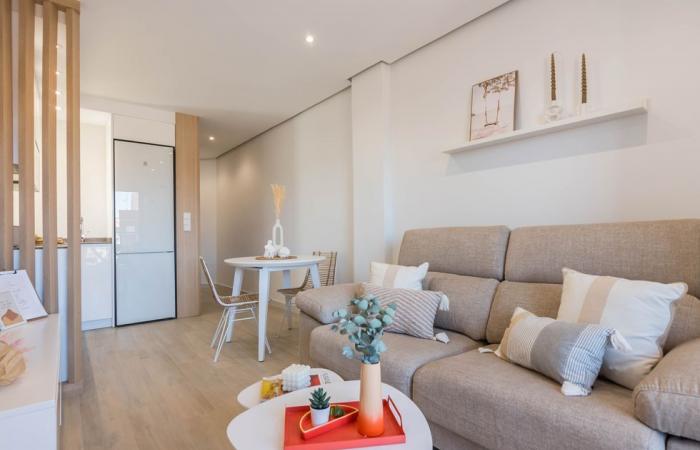 Un apartamento de dos habitaciones de 40 m2 optimizado para la suavidad natural