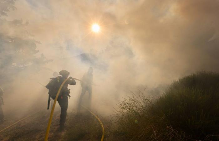“Hubo 7.572 incendios en California entre 2018 y 2022”, señala el climatólogo Tim Brown