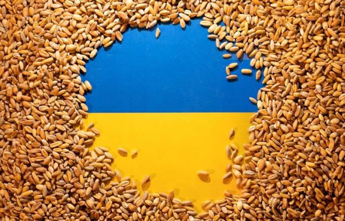 El mecanismo de precios mínimos para las exportaciones de alimentos de Ucrania entrará en vigor en agosto, según un funcionario