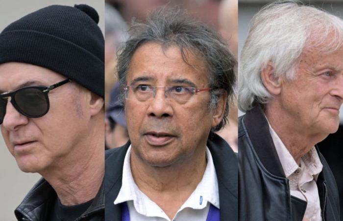 Daho, Voulzy, Dave… varias celebridades presentes para rendir homenaje a Françoise Hardy en París