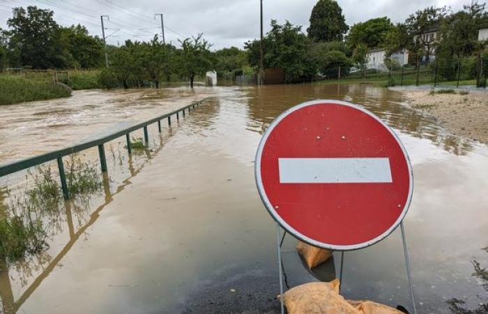 EN VIVO – Aviso naranja por inundaciones, carreteras cortadas, vacas salvadas del agua… Actualización tras las tormentas en el Cher