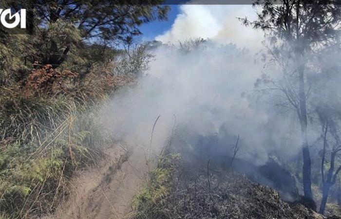 Un incendio terrestre en la región de Bromo Widodaren en Savana