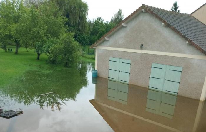 EN VIVO – Aviso naranja por inundaciones, carreteras cortadas, vacas salvadas del agua… Actualización tras las tormentas en el Cher