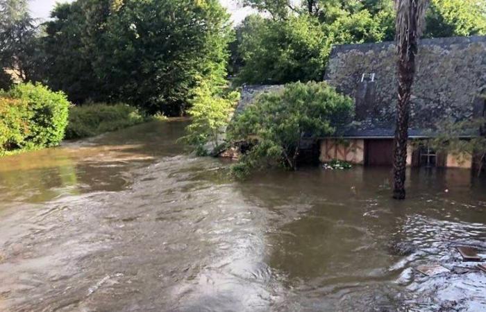 Inundaciones: Météo France pone a Mayenne y Maine-et-Loire en alerta roja debido a la importante inundación del Oudon