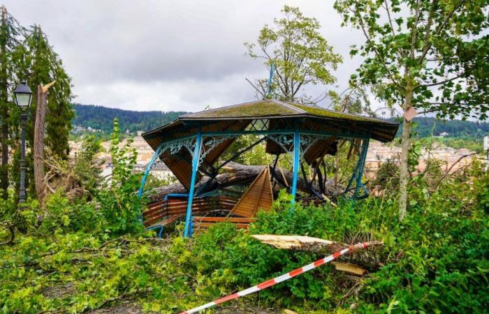 Tormenta en La Chaux-de-Fonds: la familia del fallecido quiere respuestas