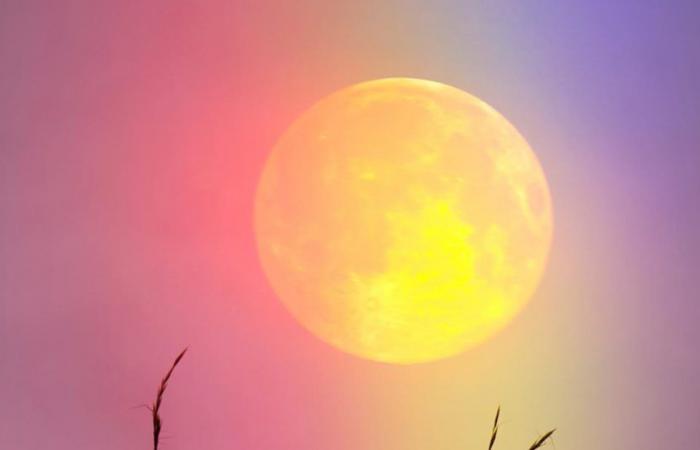 Qué significa la luna llena en Capricornio de junio de 2024 para tu signo