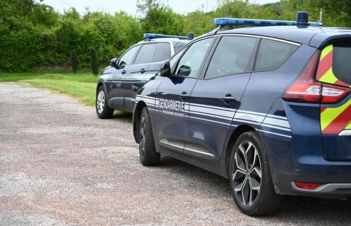 Los gendarmes de Loiret lanzan una convocatoria de testigos un año después del hallazgo de una mujer encontrada muerta en el canal de Orleans
