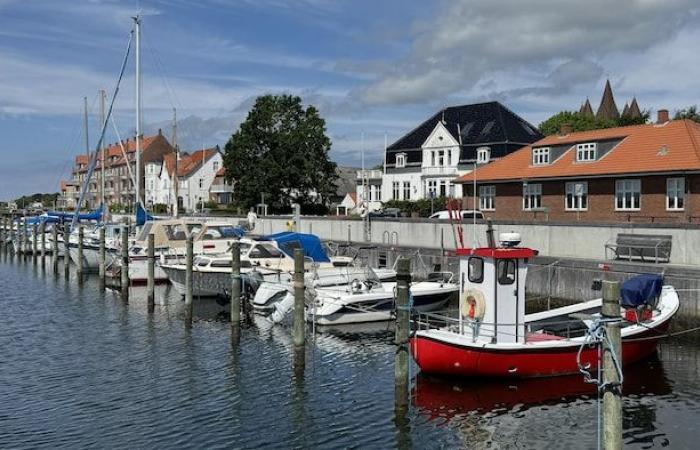 Ozempic, la receta secreta de la salud económica de Dinamarca