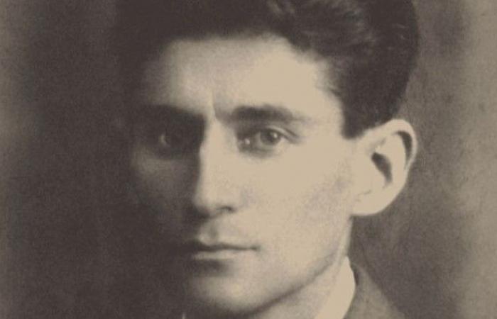Crisis de poder, derivas identitarias: las disoluciones de Kafka
